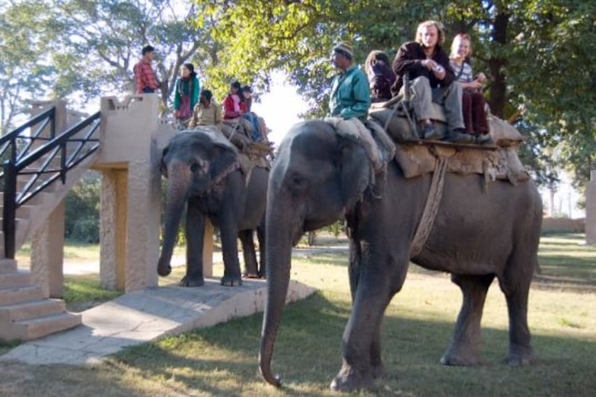 Elephant Safari 4